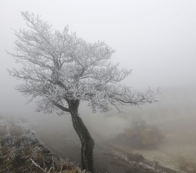 雾锁南太行（3）