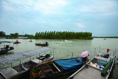 《水乡船畔忙》