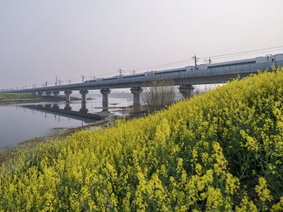 驶向春天的列车