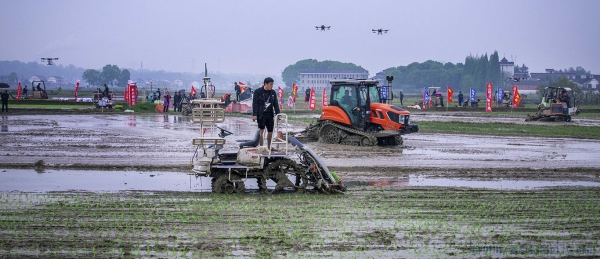 [原创]赶集归来