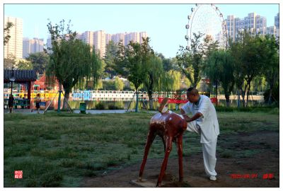 荆河公园晨练的人们3