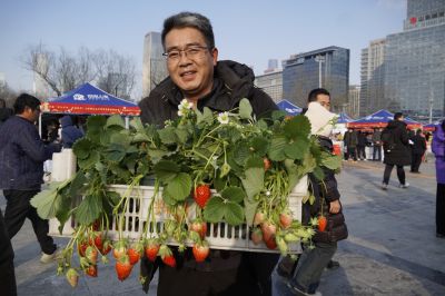 助农大集乡味浓