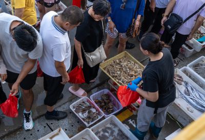 繁华的渔港码头