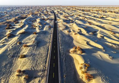 马丽《东方摄影 · 我的2024》：《追踪大漠深处的胡杨树》（组照）