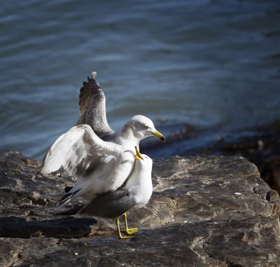 我的眼里只有你