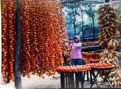 李年令《东方摄影 · 我的2024》：《丰收时节》