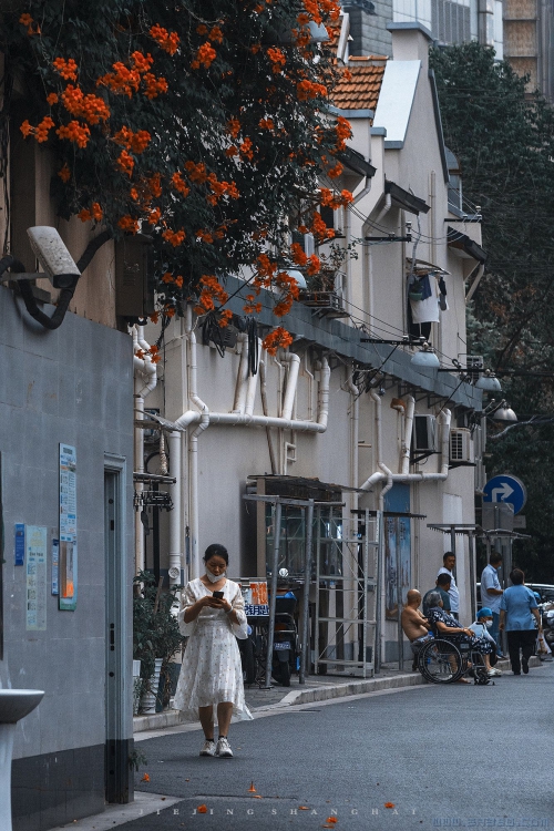 [原创]【都市街景】1/ 建筑可阅读