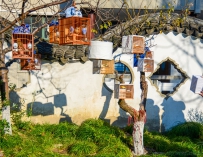 [原创]《养鸟人》