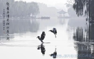 [原创]明湖倩影