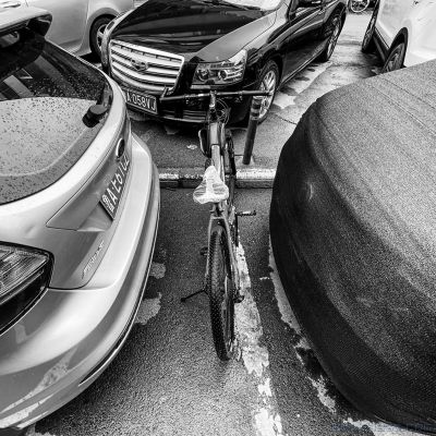 [原创]《夹缝中求生存》