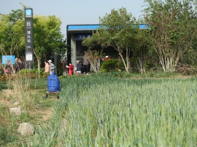 开往“希望田野”的地铁