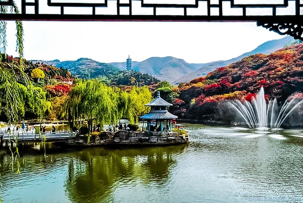 《幽谷美景似画屏》