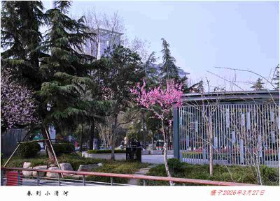 春到小清河——2