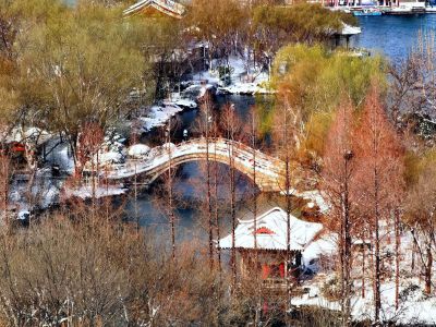 雪后大明湖：淡妆素裹的诗意仙境（4）