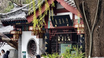 一丝垂柳吐绿芽4