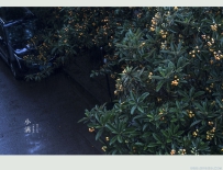 [原创]【今日小满】