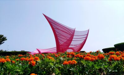 [原创]花海红帆