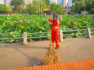 出淤泥而一尘不染