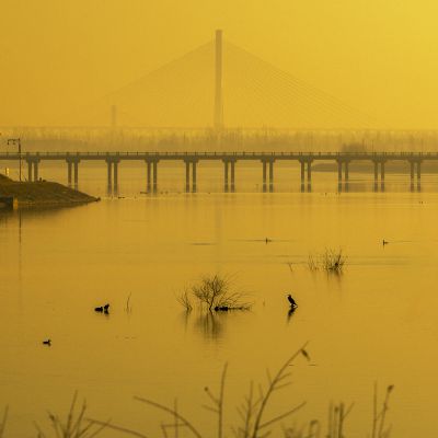济南天桥沉沙湖风景