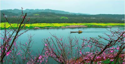 原创：四川春三月