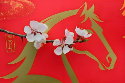 杏花报春，马年吉祥（2）