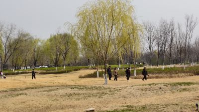 春分出门去踏青5