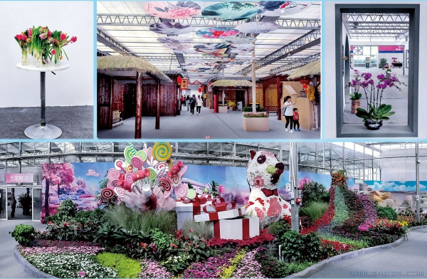 《异彩纷呈花博会》（组照）
