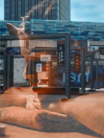 【光影与色彩】1