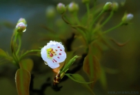 [原创]玉容寂寞泪阑干——