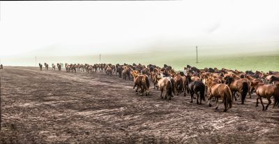 以梦为马不负韶华