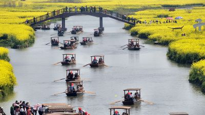 江苏兴化市千垛镇的油菜花