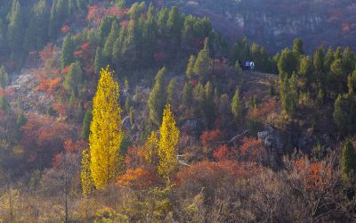 博山镇门峪秋日