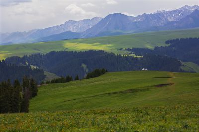新疆伊犁天山腹地行摄之旅 —— 喀拉峻草原之猎鹰台