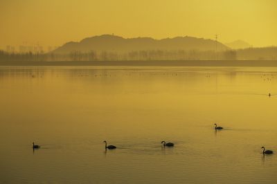 济南天桥沉砂池之晨3