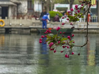花花世界-五龙潭