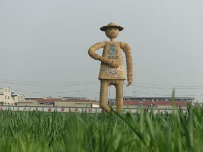 桃花盛开的地方