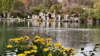 秋菊扮靓五龙潭