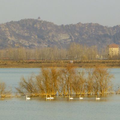 济南天桥沉沙湖风景5