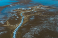 [原创]好大一棵树