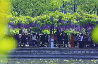 [原创]赏花季节
