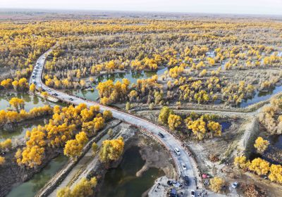 俯瞰塔里木河胡杨林