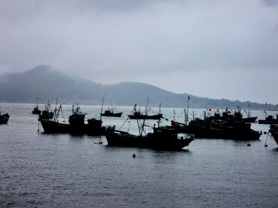 雾锁刘公，桅林静泊