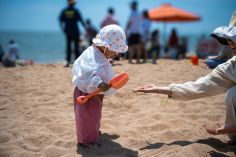 宝贝，这是啥？