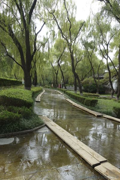 [原创]“水漫金山”再现百脉泉