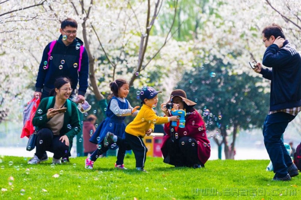 幸福花开春满园