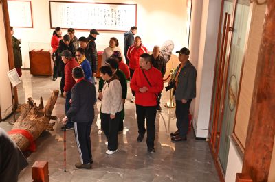 夏津县德百旅游小镇11