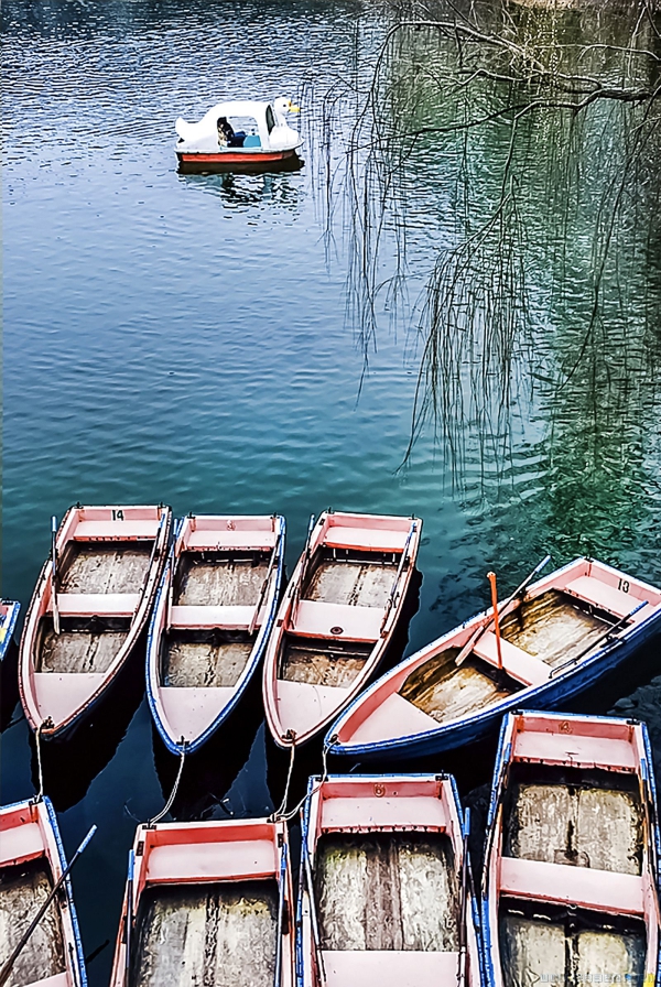 《春水微澜映日湖》