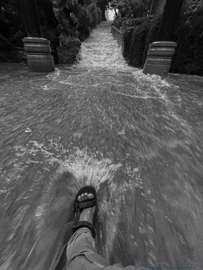 [原创]《激流勇进》