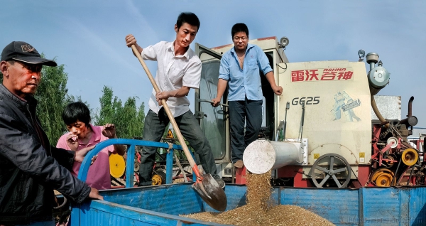 《又是一个丰收年》