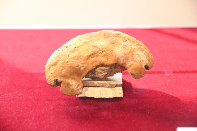 夏津县德百旅游小镇14